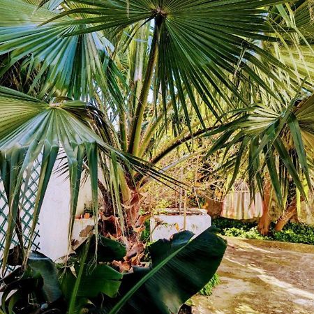 Cozy 3 Bedroom Home - Close To Beach Lourinha  Εξωτερικό φωτογραφία