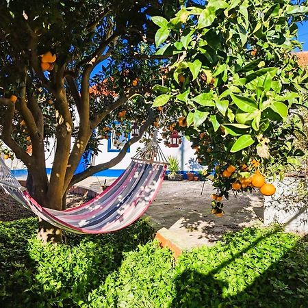 Cozy 3 Bedroom Home - Close To Beach Lourinha  Εξωτερικό φωτογραφία