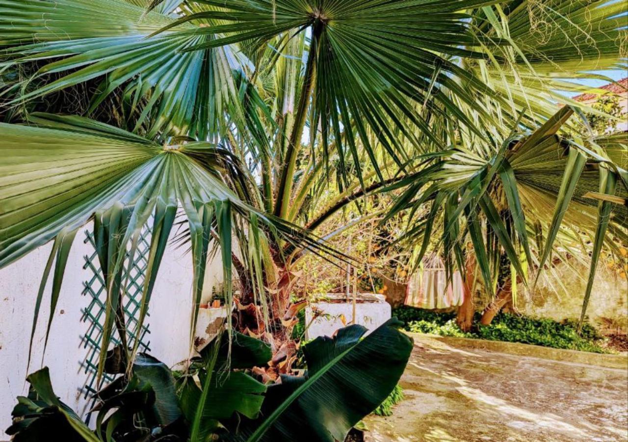 Cozy 3 Bedroom Home - Close To Beach Lourinha  Εξωτερικό φωτογραφία