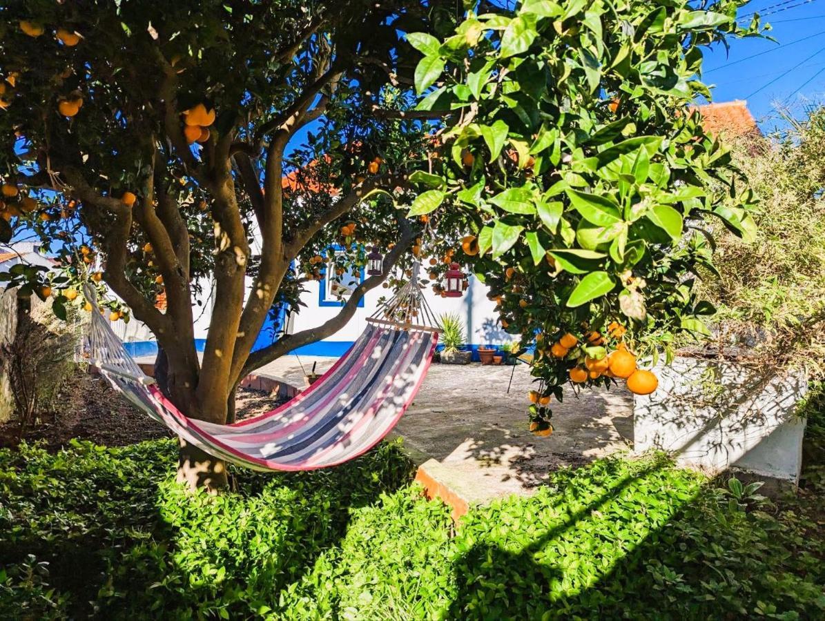 Cozy 3 Bedroom Home - Close To Beach Lourinha  Εξωτερικό φωτογραφία