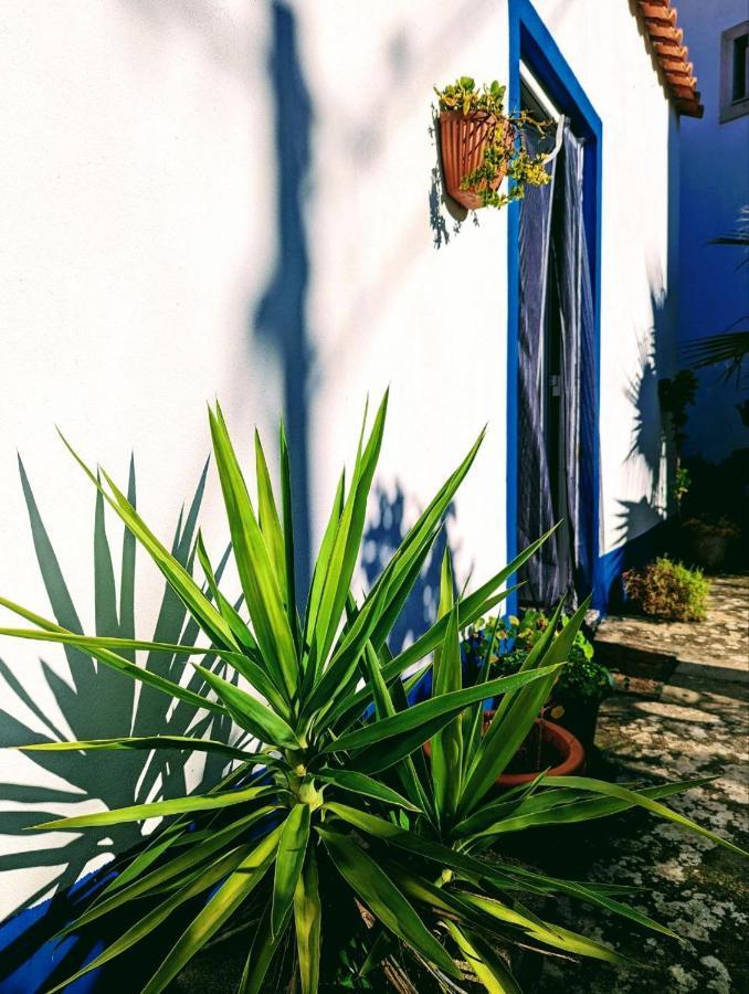 Cozy 3 Bedroom Home - Close To Beach Lourinha  Εξωτερικό φωτογραφία